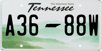 TN license plate A3688W