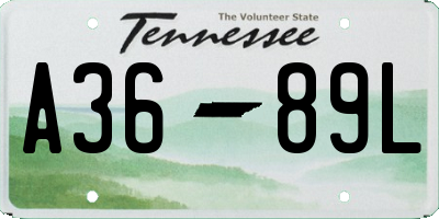 TN license plate A3689L