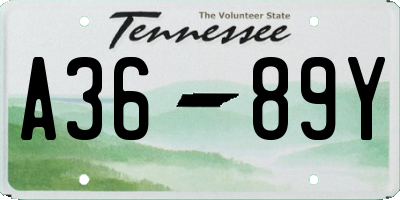 TN license plate A3689Y
