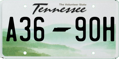 TN license plate A3690H