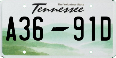 TN license plate A3691D