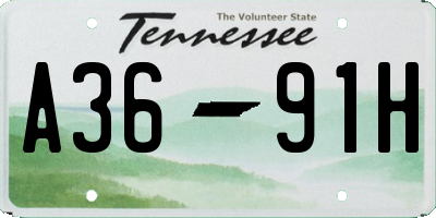 TN license plate A3691H