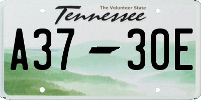 TN license plate A3730E