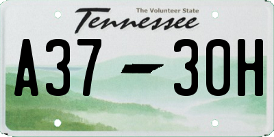 TN license plate A3730H