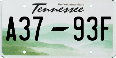 TN license plate A3793F