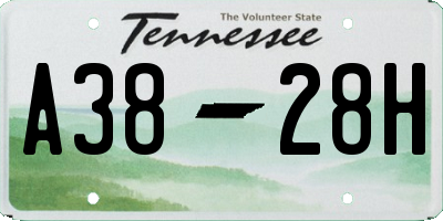 TN license plate A3828H