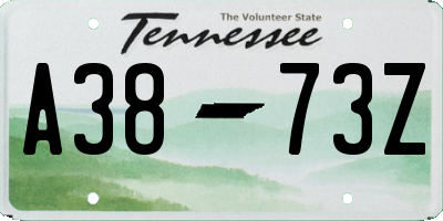 TN license plate A3873Z