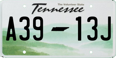 TN license plate A3913J