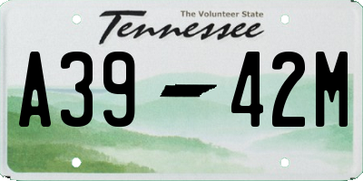 TN license plate A3942M