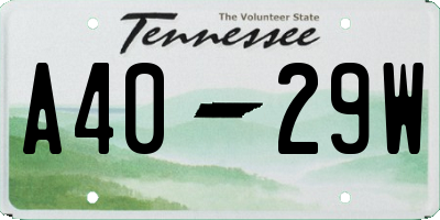 TN license plate A4029W