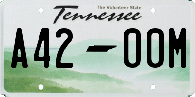 TN license plate A4200M