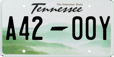 TN license plate A4200Y