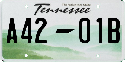 TN license plate A4201B