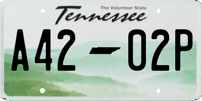 TN license plate A4202P
