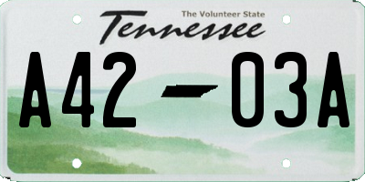 TN license plate A4203A