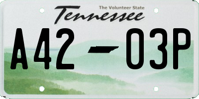 TN license plate A4203P