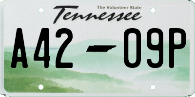 TN license plate A4209P