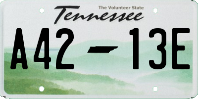 TN license plate A4213E