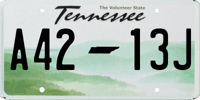 TN license plate A4213J