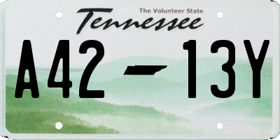 TN license plate A4213Y