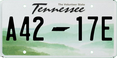 TN license plate A4217E