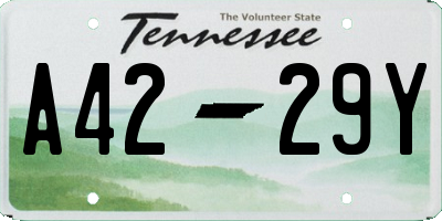 TN license plate A4229Y