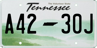 TN license plate A4230J