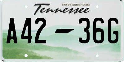 TN license plate A4236G