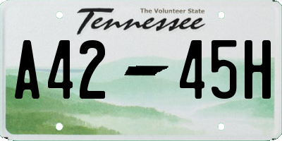 TN license plate A4245H