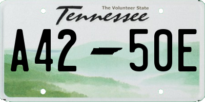 TN license plate A4250E