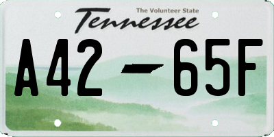 TN license plate A4265F