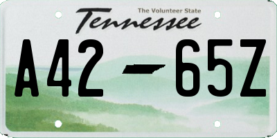 TN license plate A4265Z