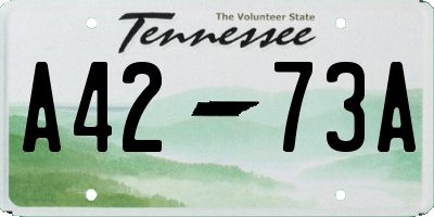 TN license plate A4273A