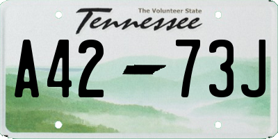 TN license plate A4273J