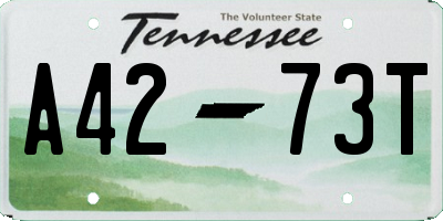 TN license plate A4273T