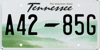 TN license plate A4285G