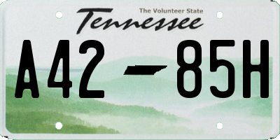 TN license plate A4285H