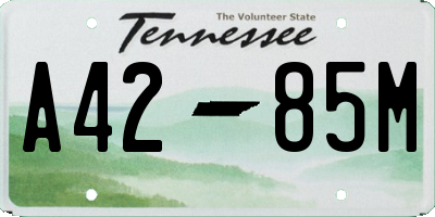 TN license plate A4285M