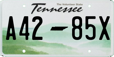 TN license plate A4285X