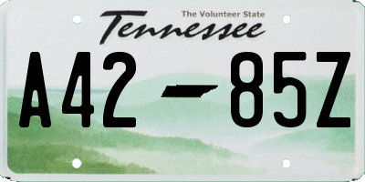 TN license plate A4285Z