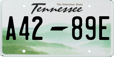 TN license plate A4289E