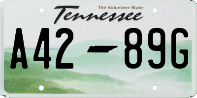 TN license plate A4289G