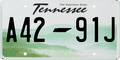 TN license plate A4291J