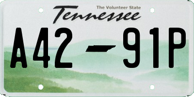 TN license plate A4291P