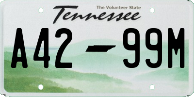 TN license plate A4299M