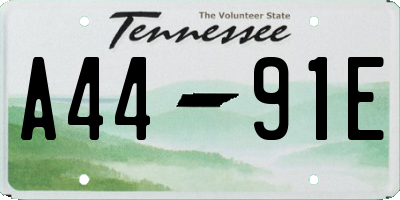 TN license plate A4491E
