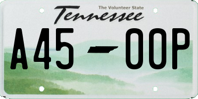 TN license plate A4500P