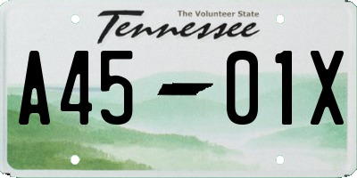 TN license plate A4501X