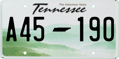 TN license plate A4519O