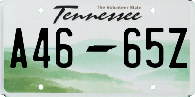 TN license plate A4665Z